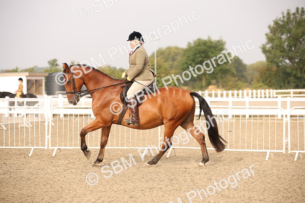 SBM_10226 - Class 402 Riding Club Horse