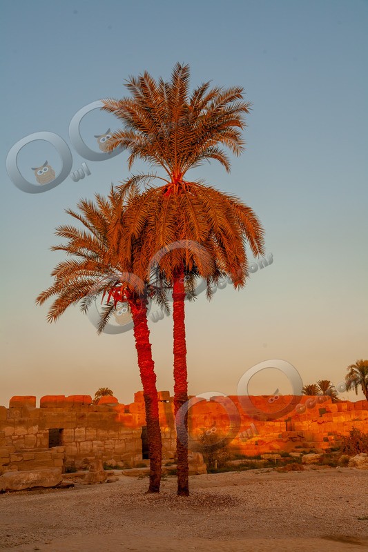 Karnak   0061 - World images