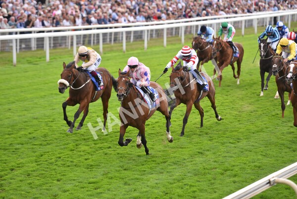 yr19082022r1-32 - Race 1 1.50pm Sky Bet Stakes