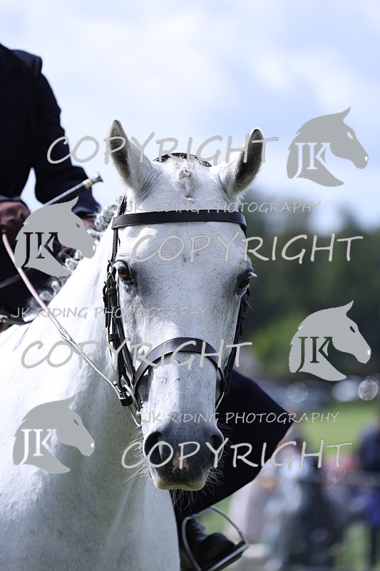 APP_3244 - Class 11 Veterans ridden