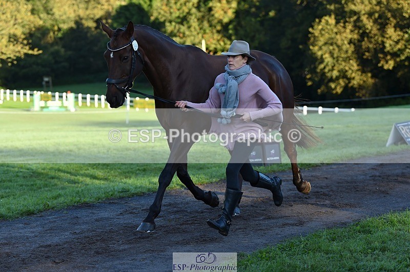 231022-085652-21463 - 649-DONAIL.BEAUANCO-Sheila.Williams-TrotUp+SJ