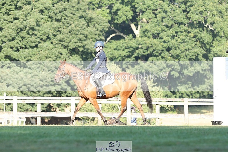 250823A-084436-25762 - Arena D