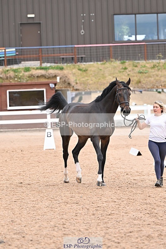 250716-135958-00848 - Trot Up 1.30 to 2.30