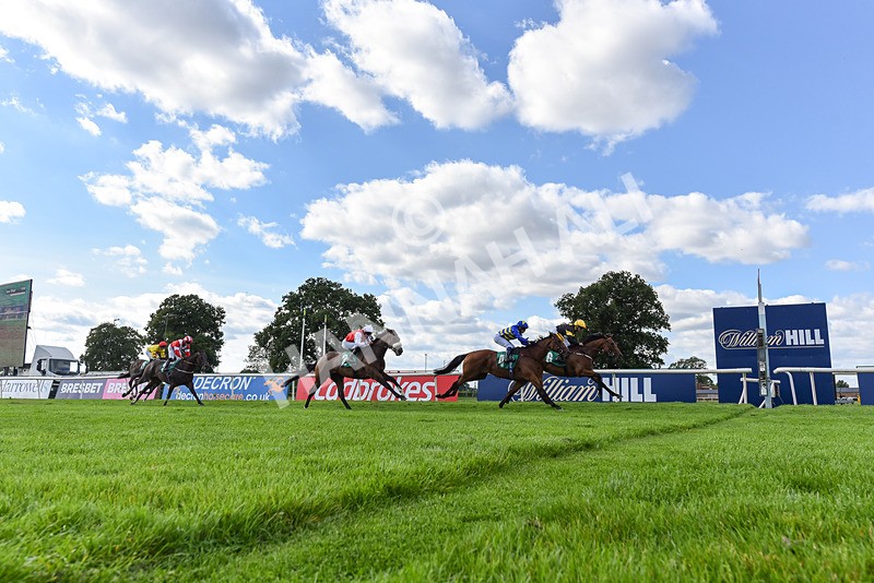020825-Race 6-Big Leader-8224 - Race 6