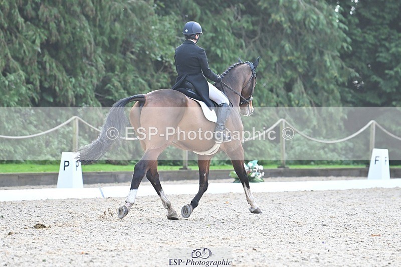 231019-110323-02032 - 105-BRIGHT.KNIGHT.III-Janet.Clarke-DR