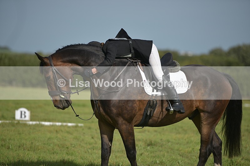 RAY_7999 - Class 2B: Trekenning Open: Dressage