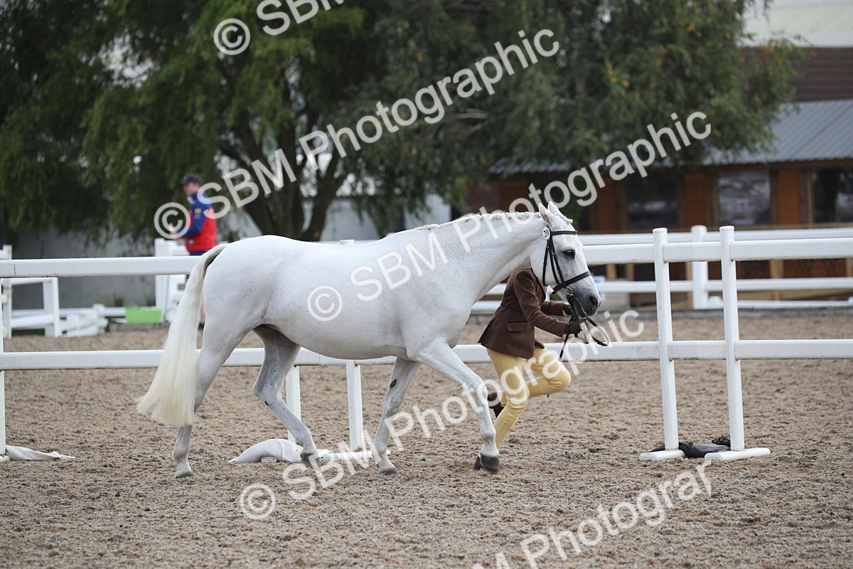 SBM_23079 - Class 605 - 2025 Area - IH Veteran