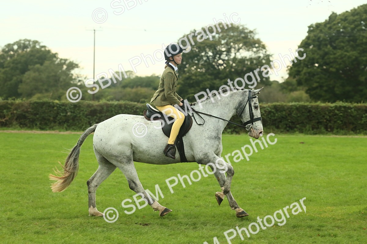 SBM_73944 - S 61 - Show Pony & Show Hunter Pony Ridden