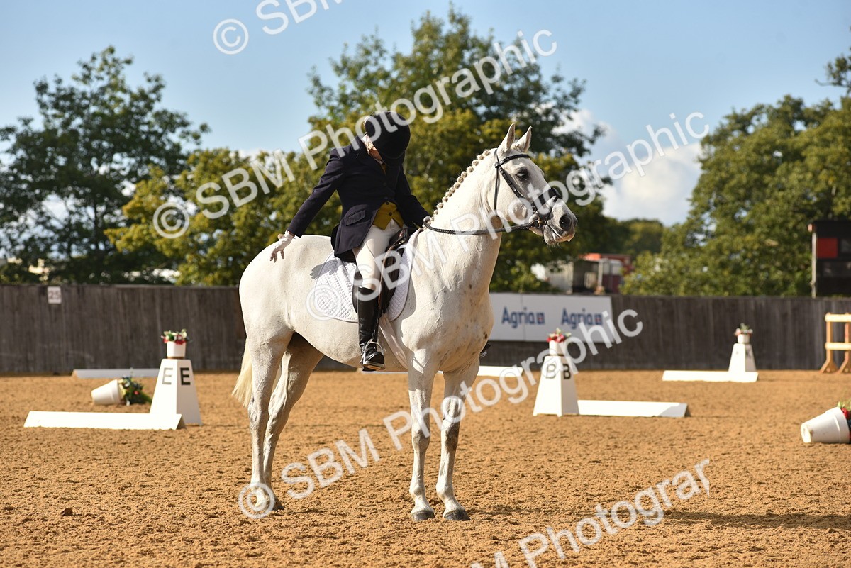 SBM_11384 - D15 - Small Tour Championship Novice 1