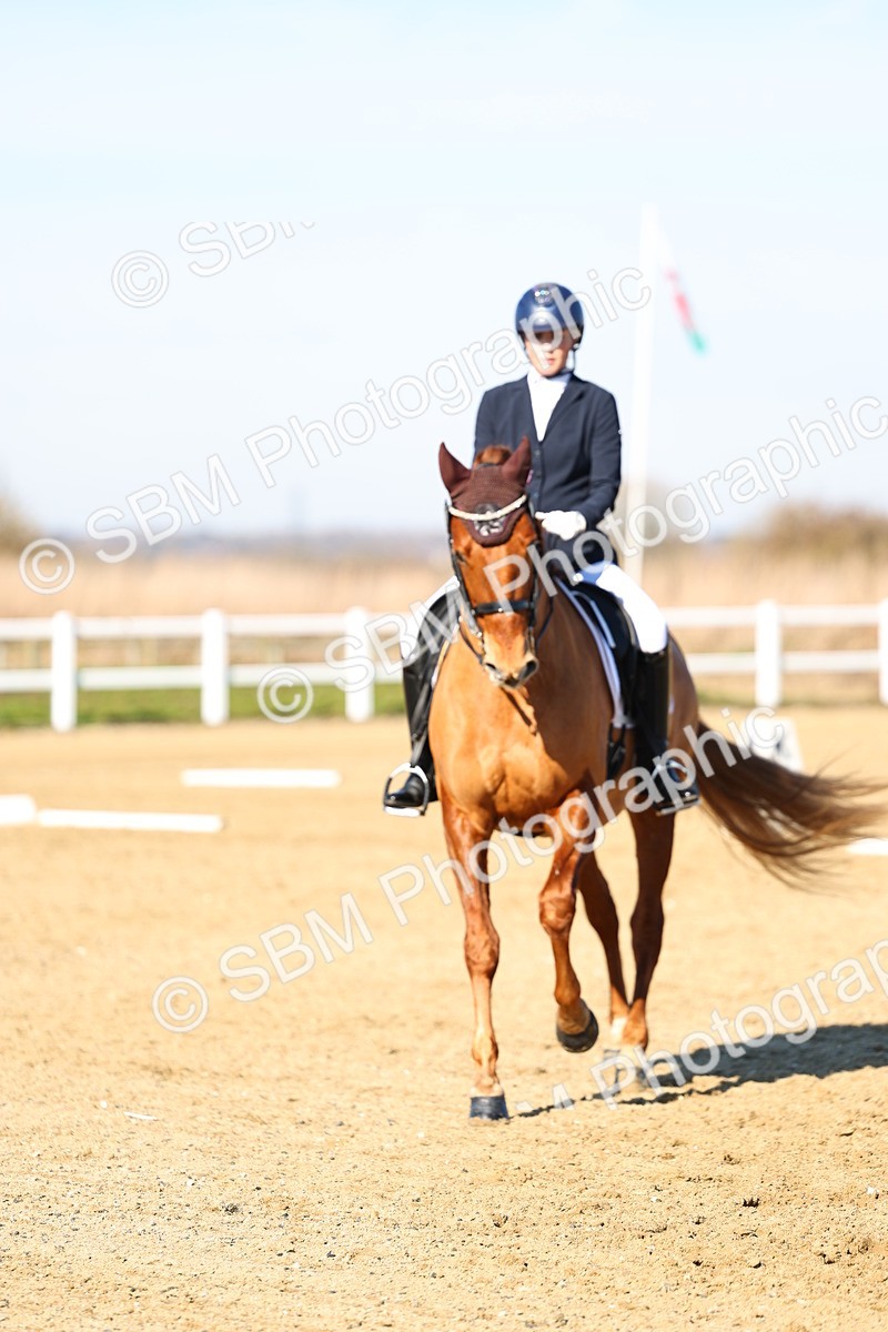 026A8529 - Class 2-6-5-4 - Paso Doble-Sevilla-Golega-Novato