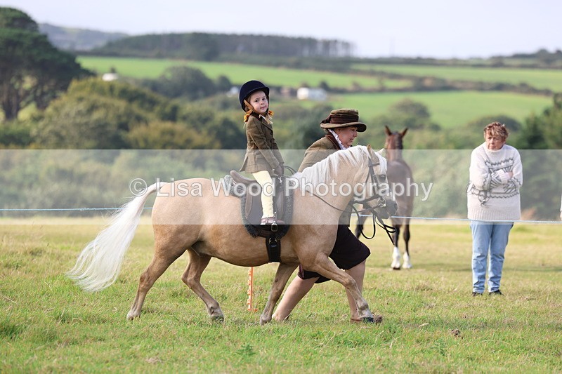 3E7A3450 - Class 2: Lead rein