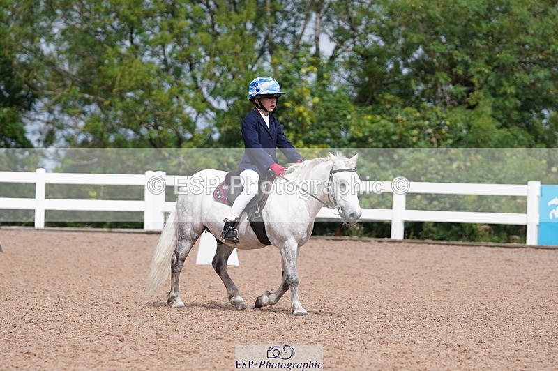 240809A-110136-00702 - Dressage Competition