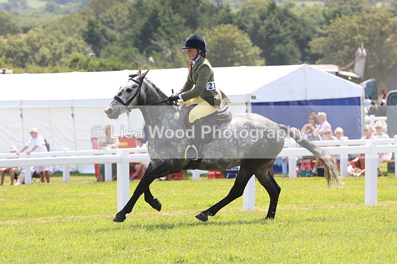 JPP_2489 - Class 21: Working Hunter 60cm