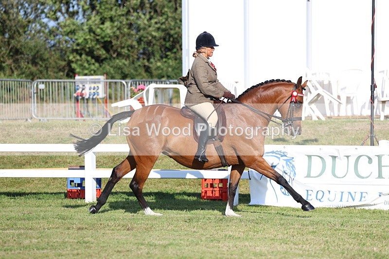3E7A4985 - Class 1: Rising Star Small Hack/Riding Horses
