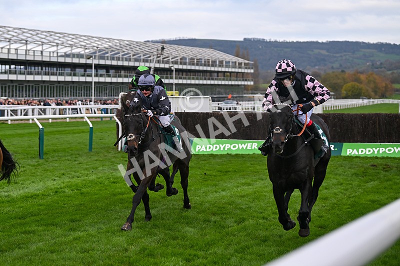 161124-Race 2-Planned Paradise-9620 - Race 2