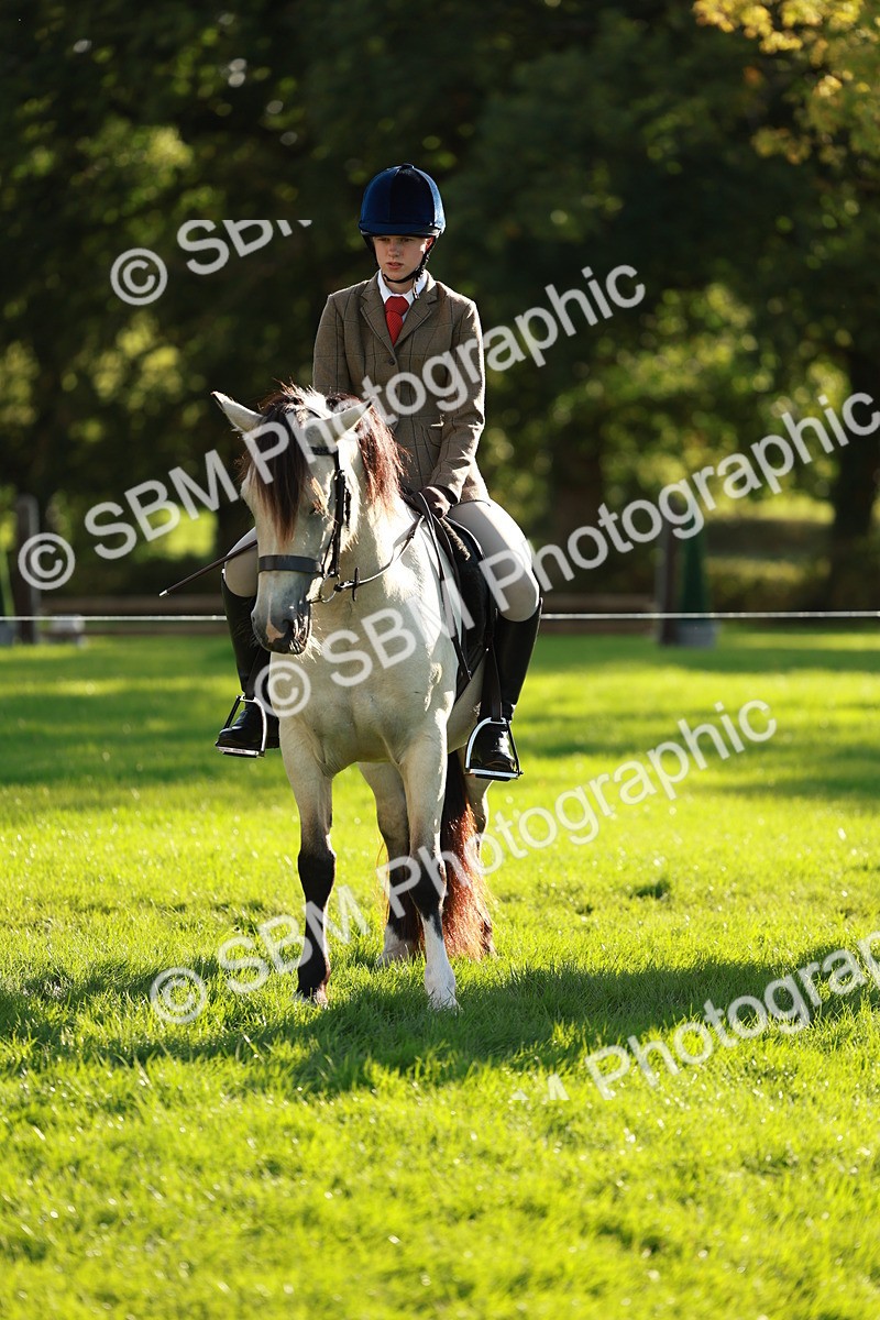 SBM_28710 - S7 - Novice & Newcomer Ridden Pony