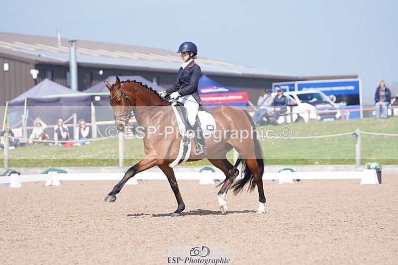 250404-122646-05656 - 028-Elizabeth.Allen-Heraldik