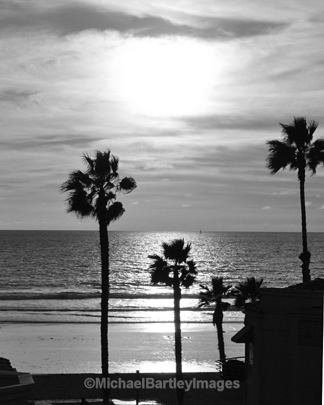 California Sunset - Black and White
