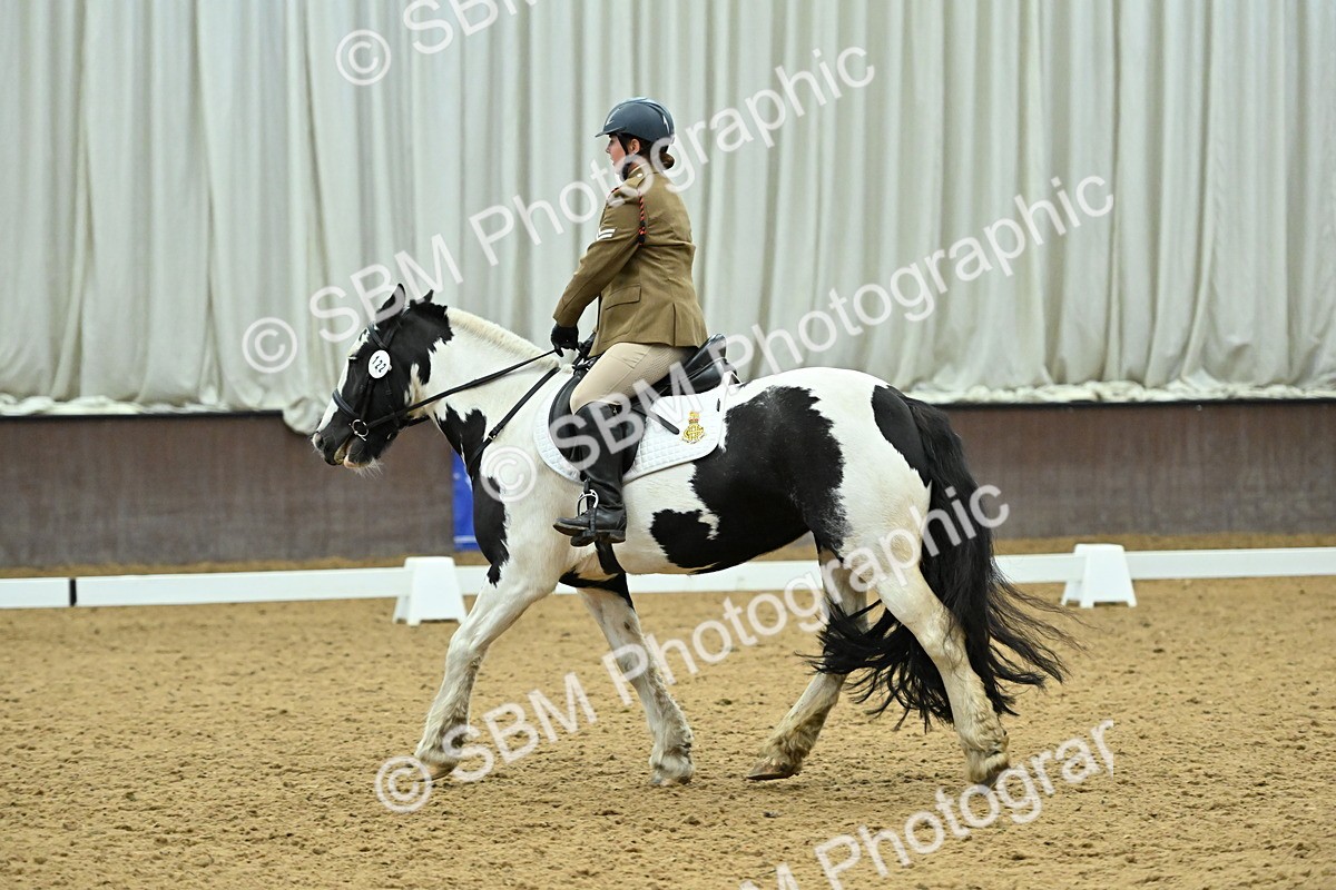 SBM_007389 - Class 81 - Novice 3