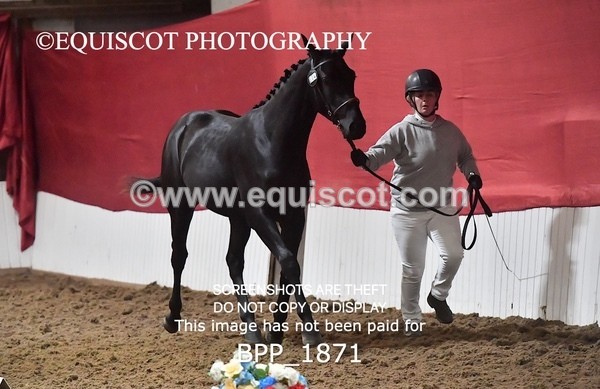 BPP_1871 - AFTERNOON 12.30 - 3.30PM