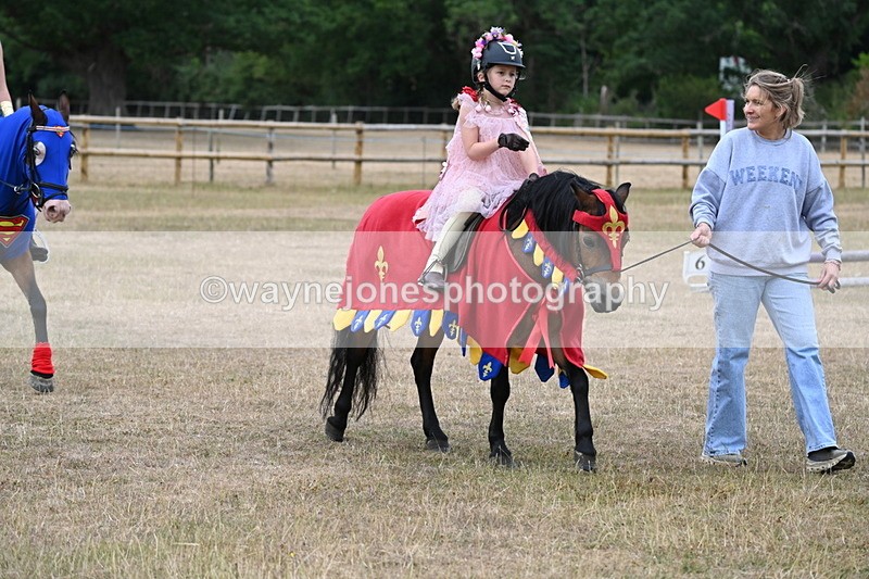 WJ6_8665 - Class 11 Fancy Dress