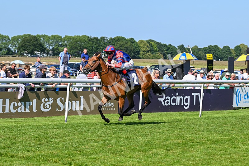 250624-Race 5-Drink Dry-5789 - Race 5