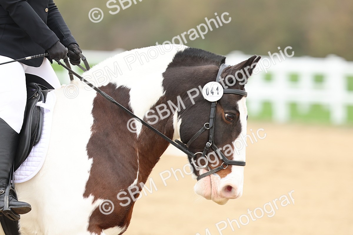 SBM_000620 - Class 3 - Prelim 13
