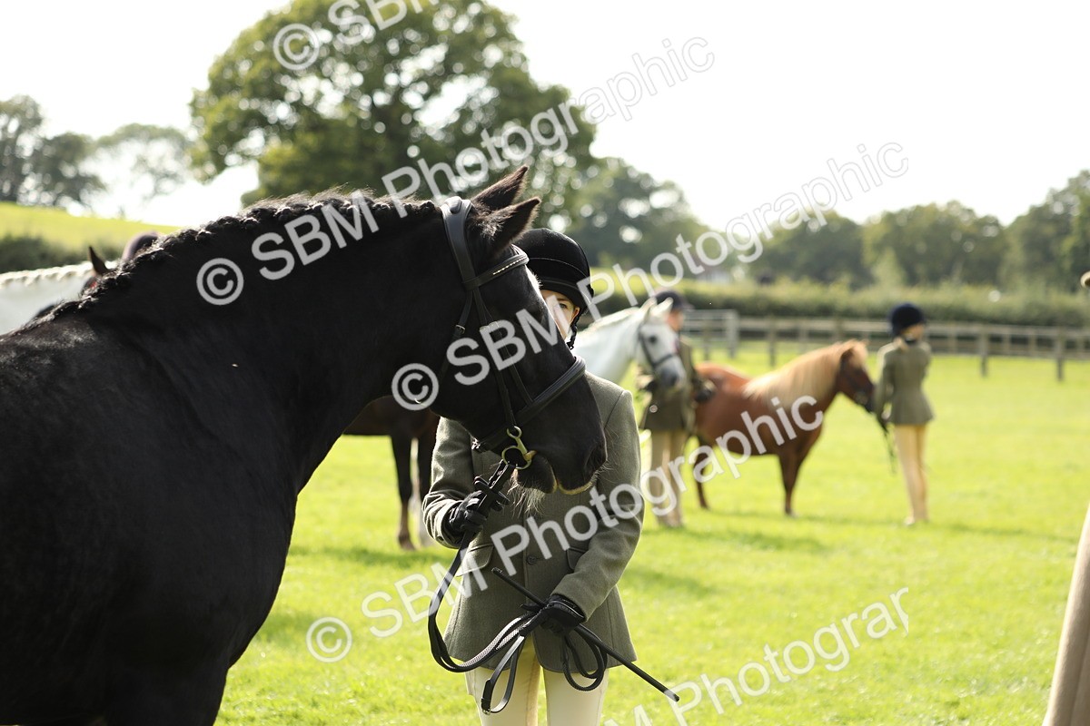 SBM_68661 - S40 - Junior Handler 9-12 Years