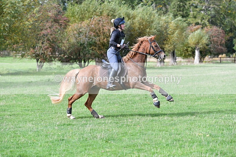 WJ5_0128 - Time 13:25 to 13:58