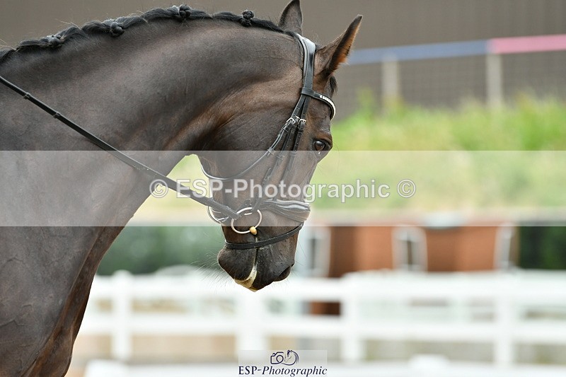 230630A-123354-01876 - Cls 7 Elementary 45