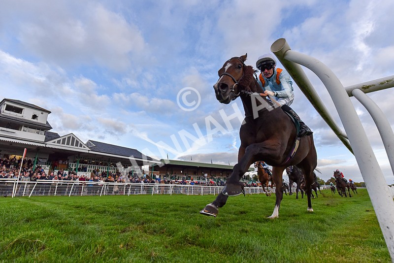 171026-Race 7-Lexington Blitz-8697 - Race 7 4.45pm William Hill Catterick Dash Handicap