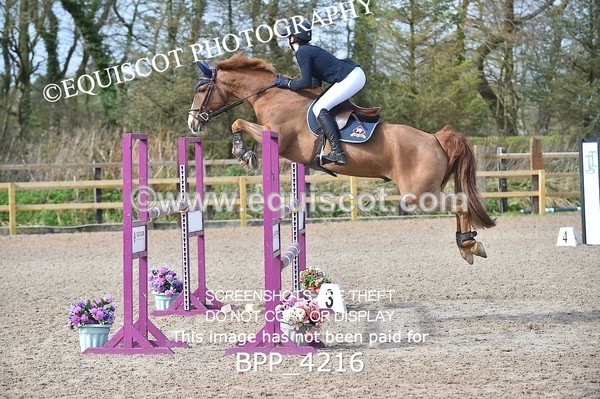 BPP_4216 - CLASS 10 RHS Foxhunter Championship Qualifier