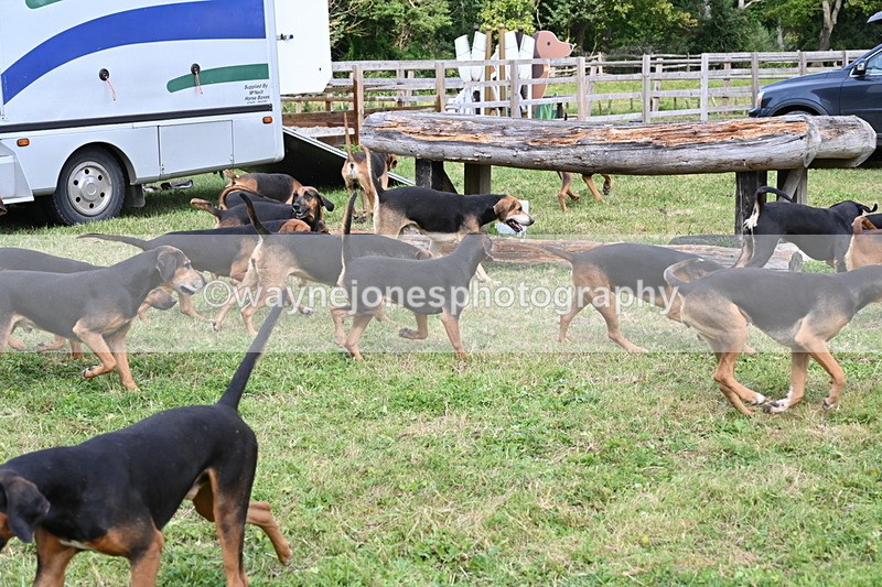 WJ6_3127 - Berks & Bucks - The Old farmhouse - Hound Exercise 20-08-25
