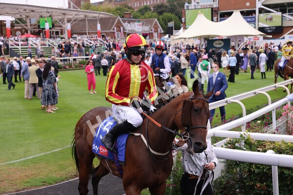 yr23072022r1-28 - Race 1 2.05pm Sky Bet Jump Jockeys Nunthorpe
