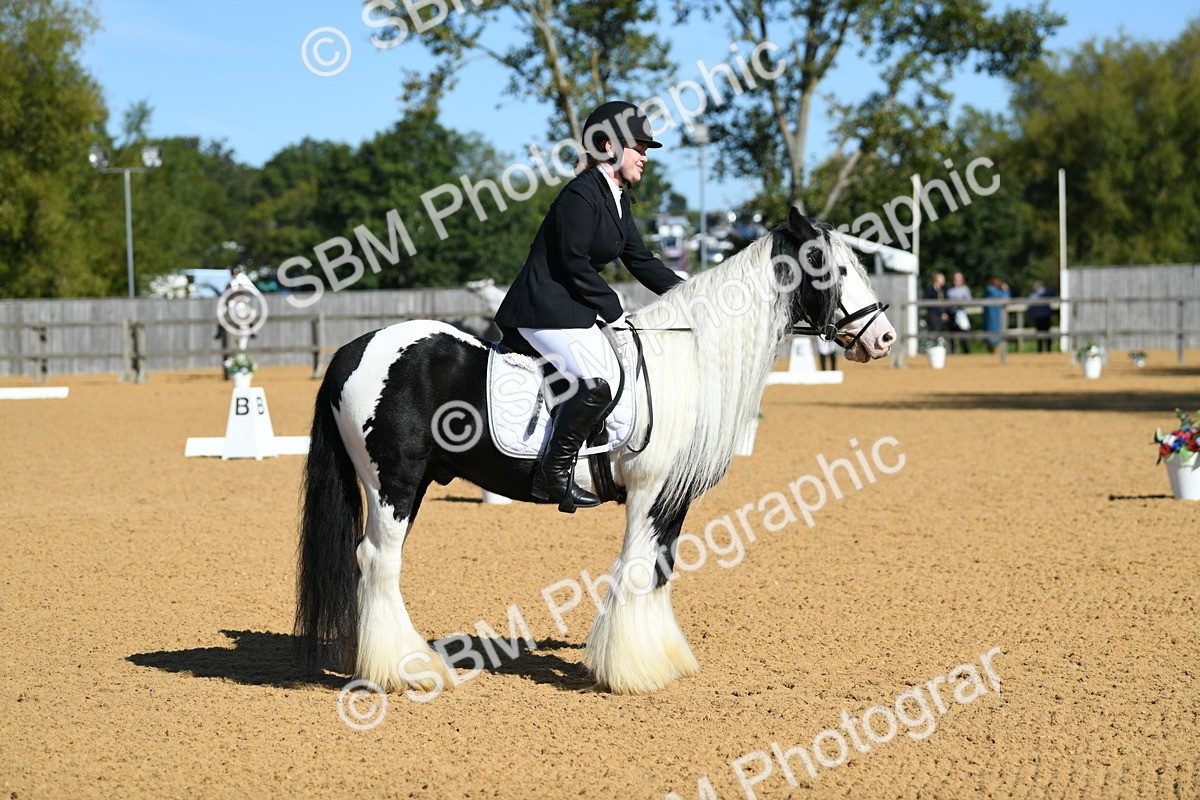 SBM_18088 - D4 - Small Tour Championship - Intro B
