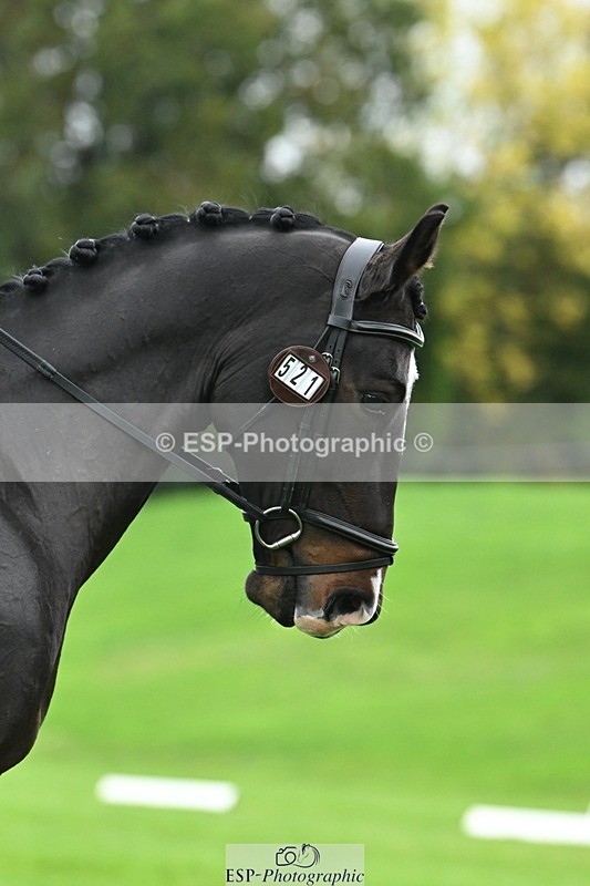 241024-130107-03597 - 521-Rhianna.Ryan-HATTERALL.NEW.YORK