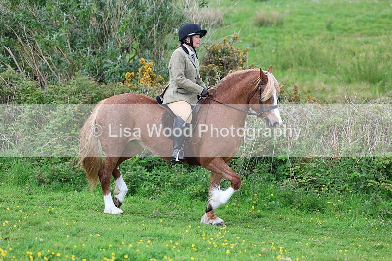 3E7A0631 - Class 5: Ridden M & M Senior