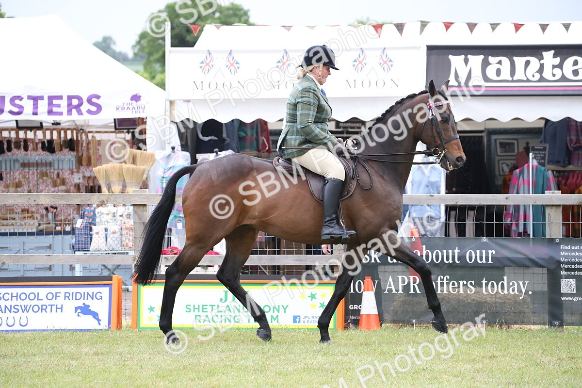 SBM_11390 - Class 94 - LIHS BSHA Racehorse to Showhorse