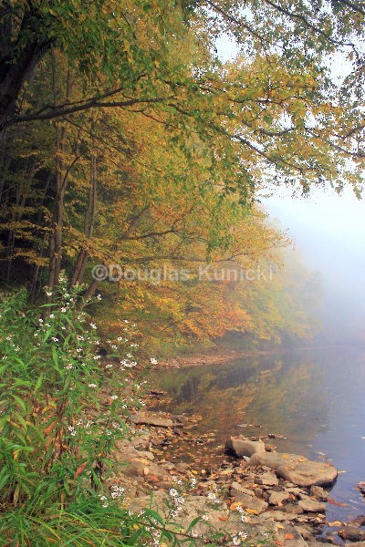 Tionesta Fog - Fall and Winter