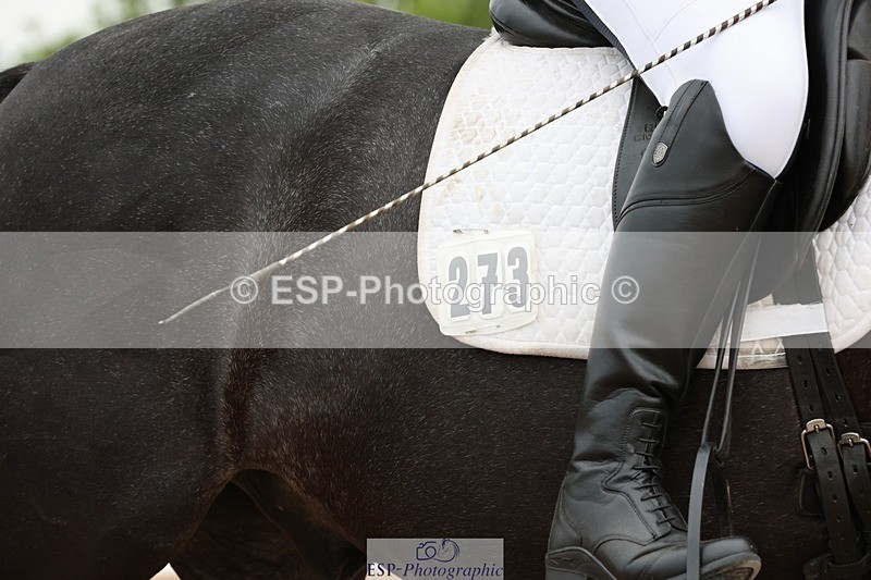 250620-083524-00039 - BD Cls 3 - Freestyle Preliminary