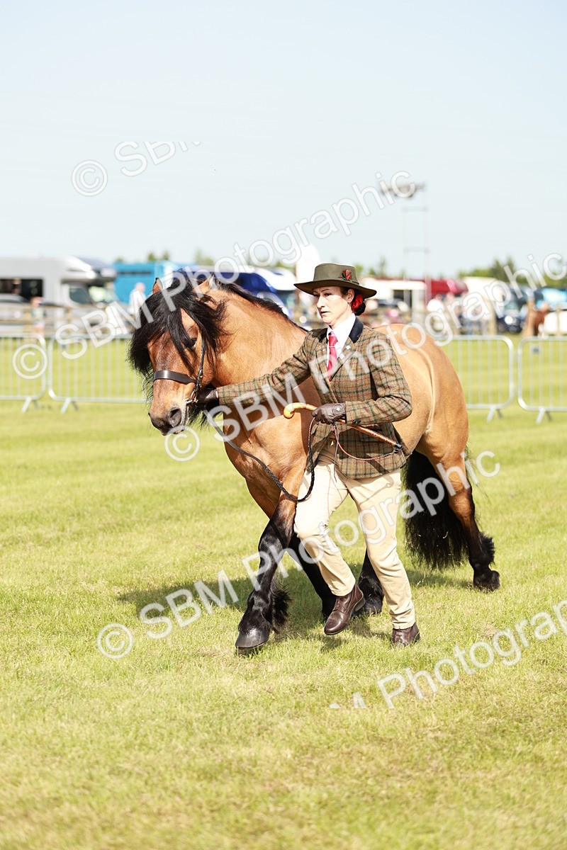 SBM_00833
