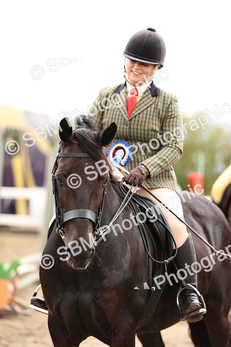 SBM_00356 - Class 52 - Ridden Veteran