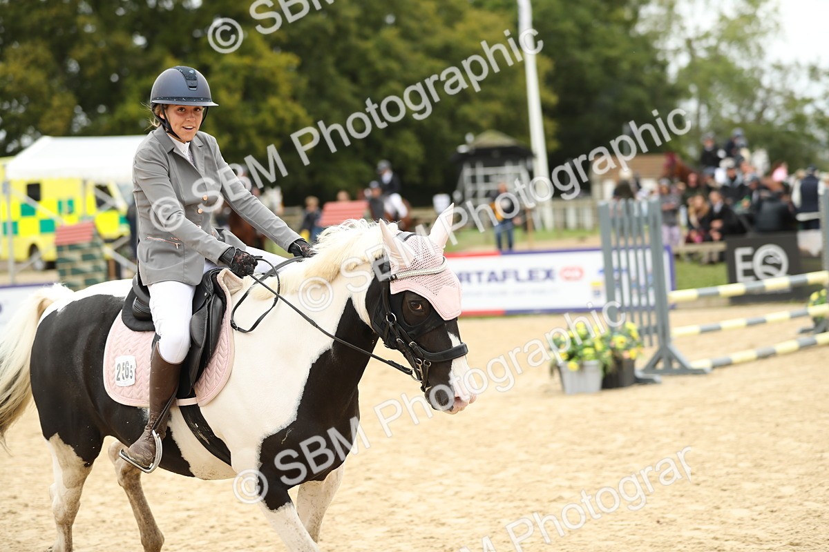 SBM_63088 - Supreme championship 75cm 80cm