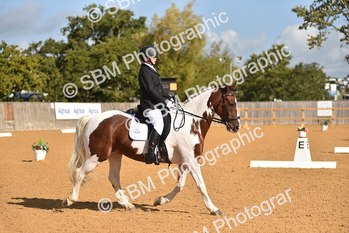SBM_03190 - D4 - Small Tour Championship Intro 4