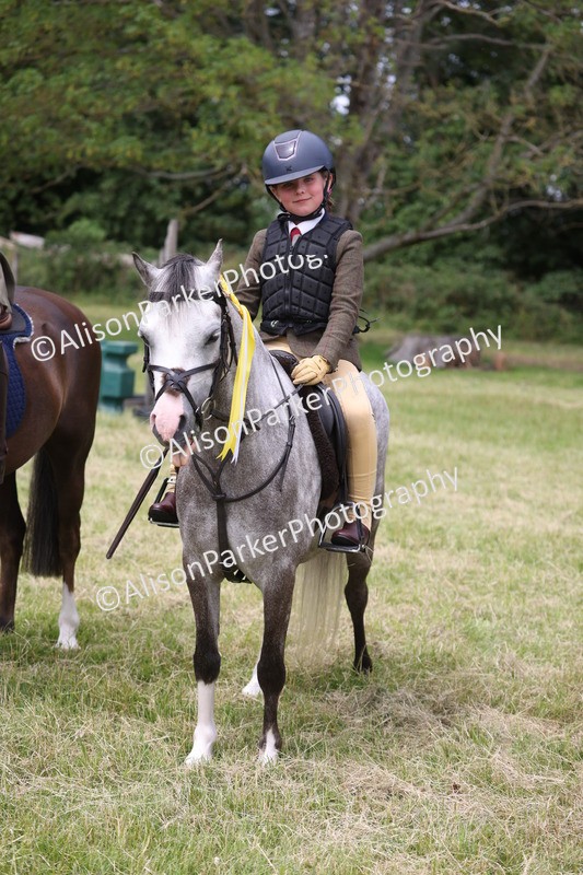 20260614-3185 - Class 22 - Open Working Hunter