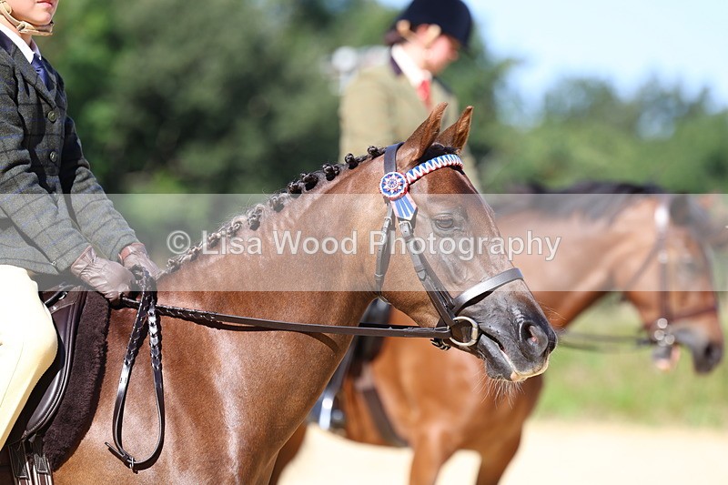 3E7A7901 - Class 14: Tack and Turnout