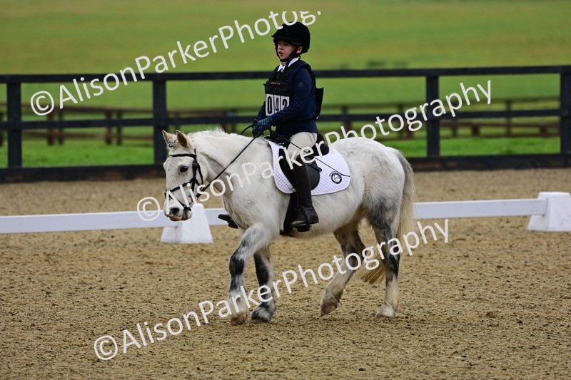 20260125-0532 - Class 9b - Walk Trot Unassisted