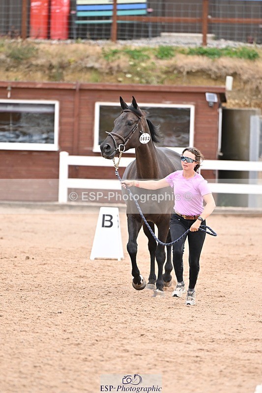 250716-140239-00869 - Trot Up 1.30 to 2.30