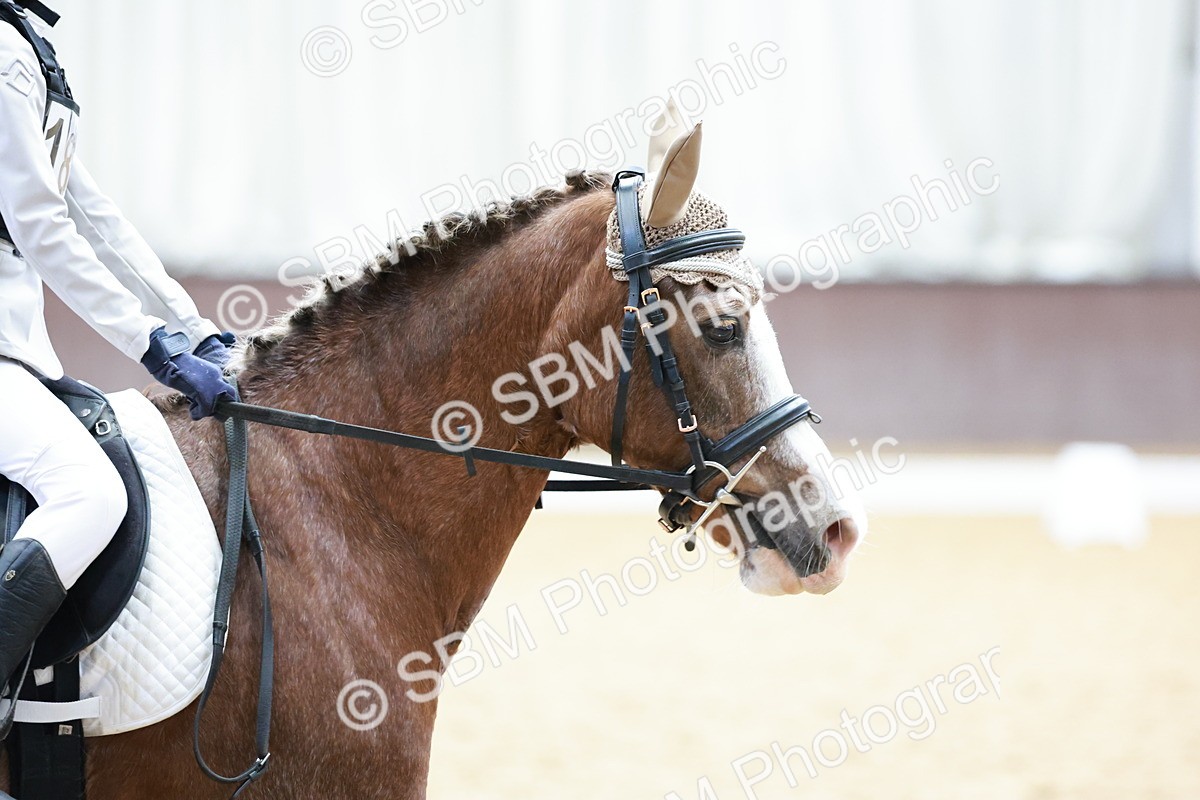 SBM_001004 - Prelim 2 - 10.38-11.48