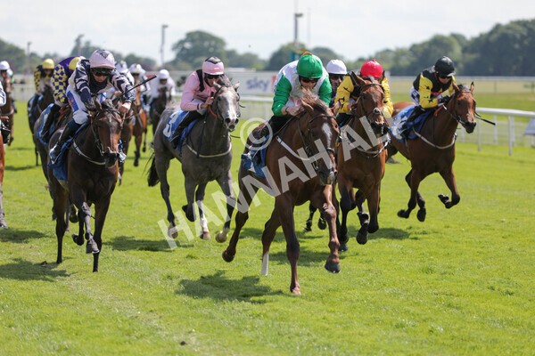 yr11062021r3-25 - Race 3 2.55pm SKF Rous Selling Stakes